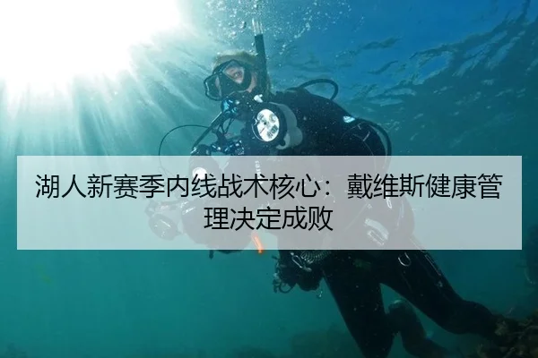 湖人新赛季内线战术核心：戴维斯健康管理决定成败
