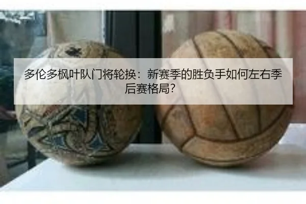 多伦多枫叶队门将轮换：新赛季的胜负手如何左右季后赛格局？
