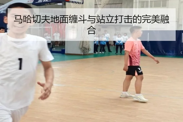 马哈切夫地面缠斗与站立打击的完美融合