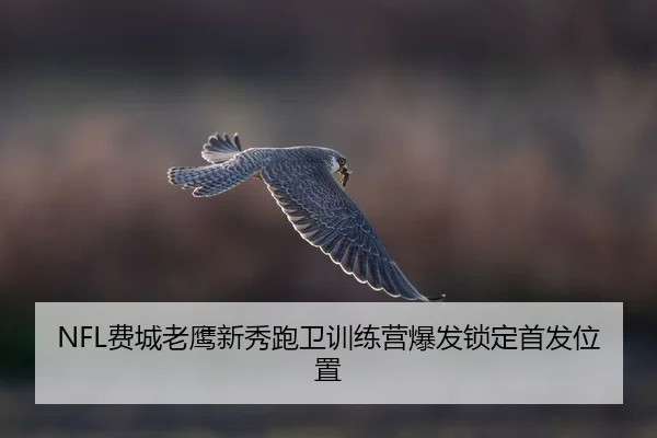 NFL费城老鹰新秀跑卫训练营爆发锁定首发位置