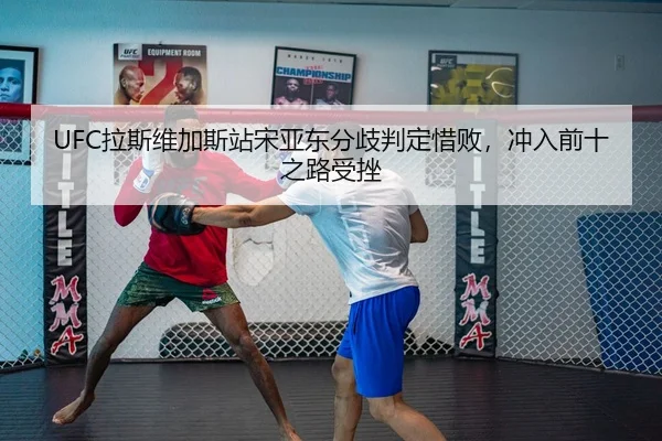 la-si-wei-jia-si-zhan-song-ya-dong-fen-qi-pan-ding-xi-bai-chong-ru-qian-shi-zhi-lu-shou-cuo-3-740.jpg