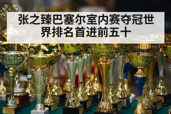 张之臻巴塞尔室内赛夺冠世界排名首进前五十