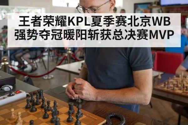 王者荣耀KPL夏季赛北京WB强势夺冠暖阳斩获总决赛MVP