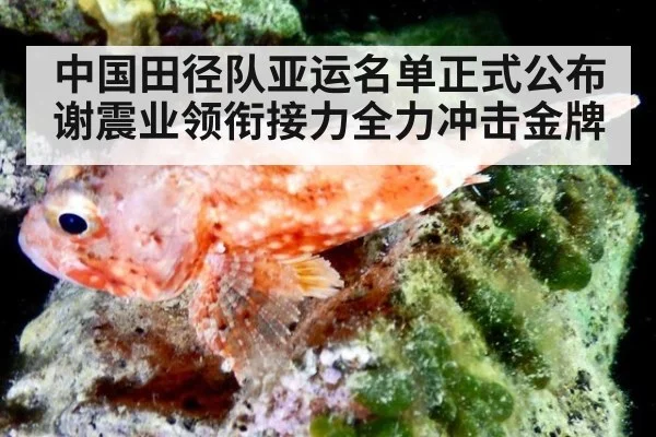 中国田径队亚运名单正式公布 谢震业领衔接力全力冲击金牌