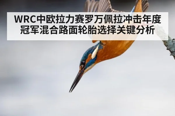 WRC中欧拉力赛罗万佩拉冲击年度冠军混合路面轮胎选择关键分析